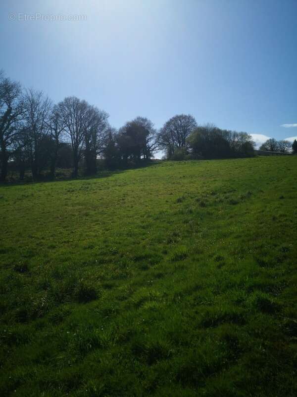 Terrain à PLOURAY