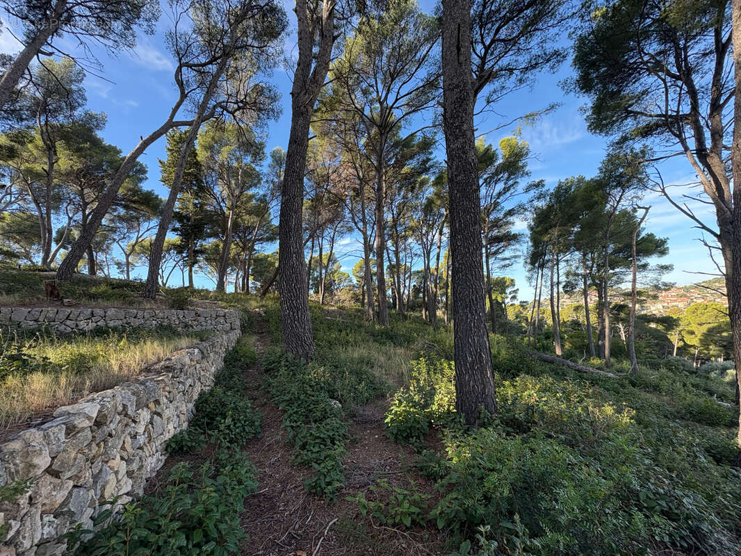 Terrain à OLLIOULES