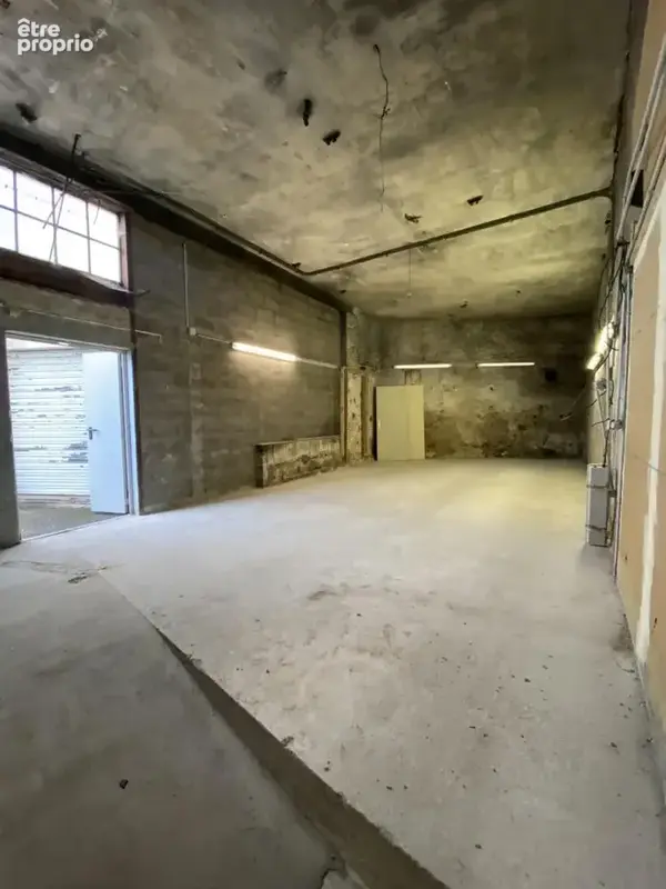 IMG_2511