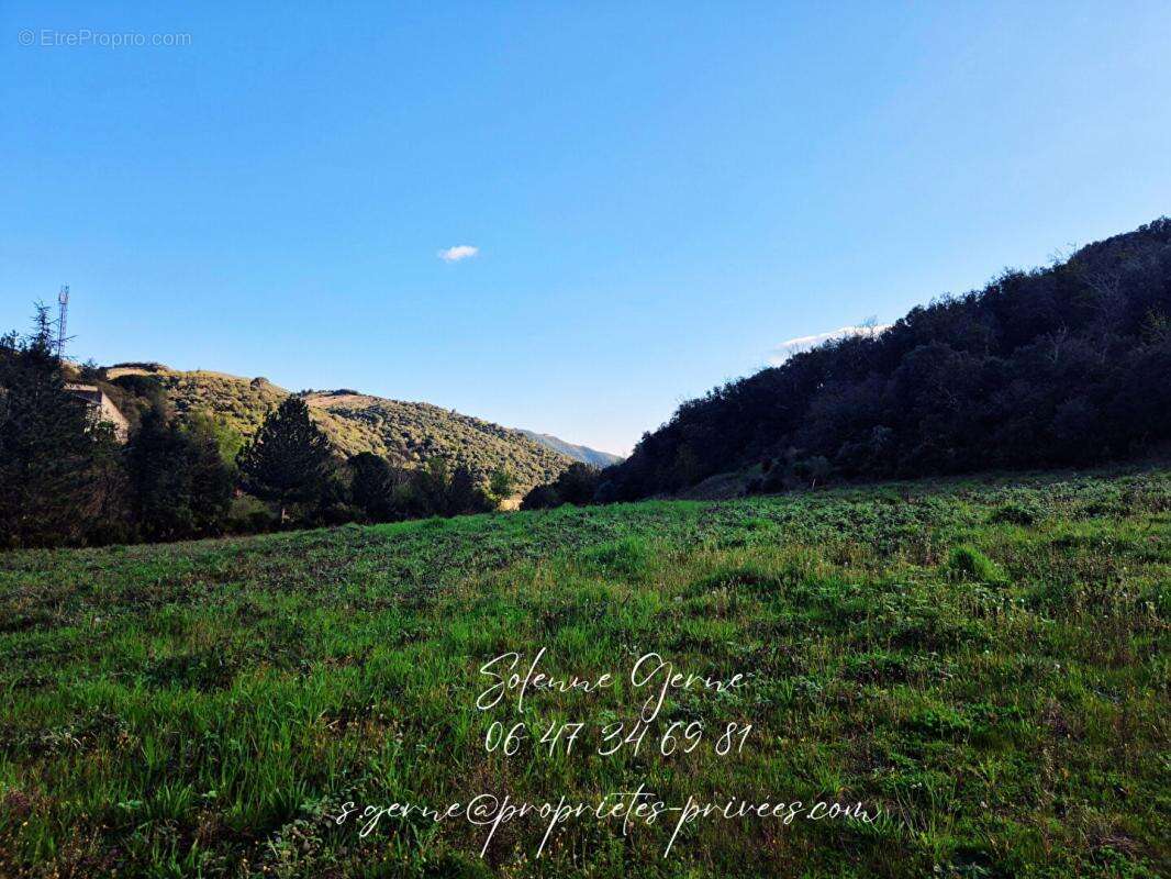 Terrain  7990 m2 - photo 2