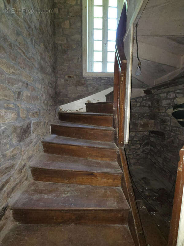 Maison à vendre à Pedernec - 6 pièces avec grand terrain - photo 7