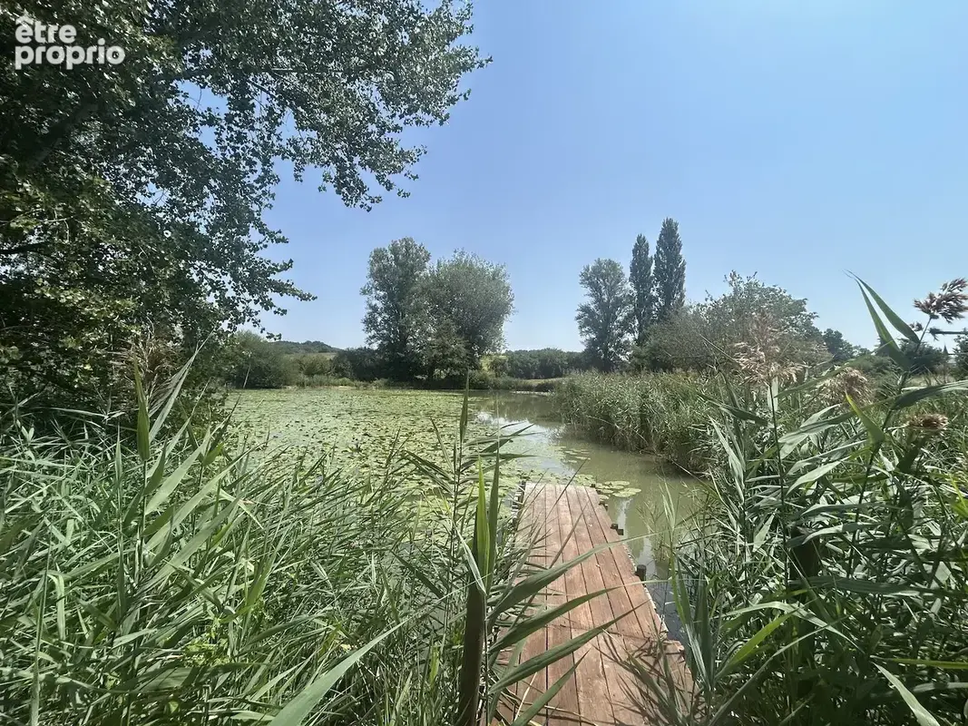 Maison d'architect avec étang, piscine, dépendances au calme. - photo 4