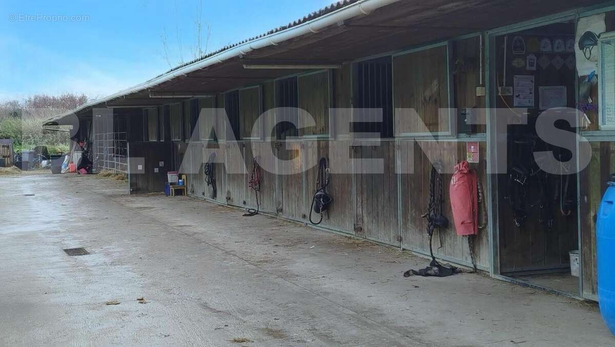 2 - Maison à VINNEUF