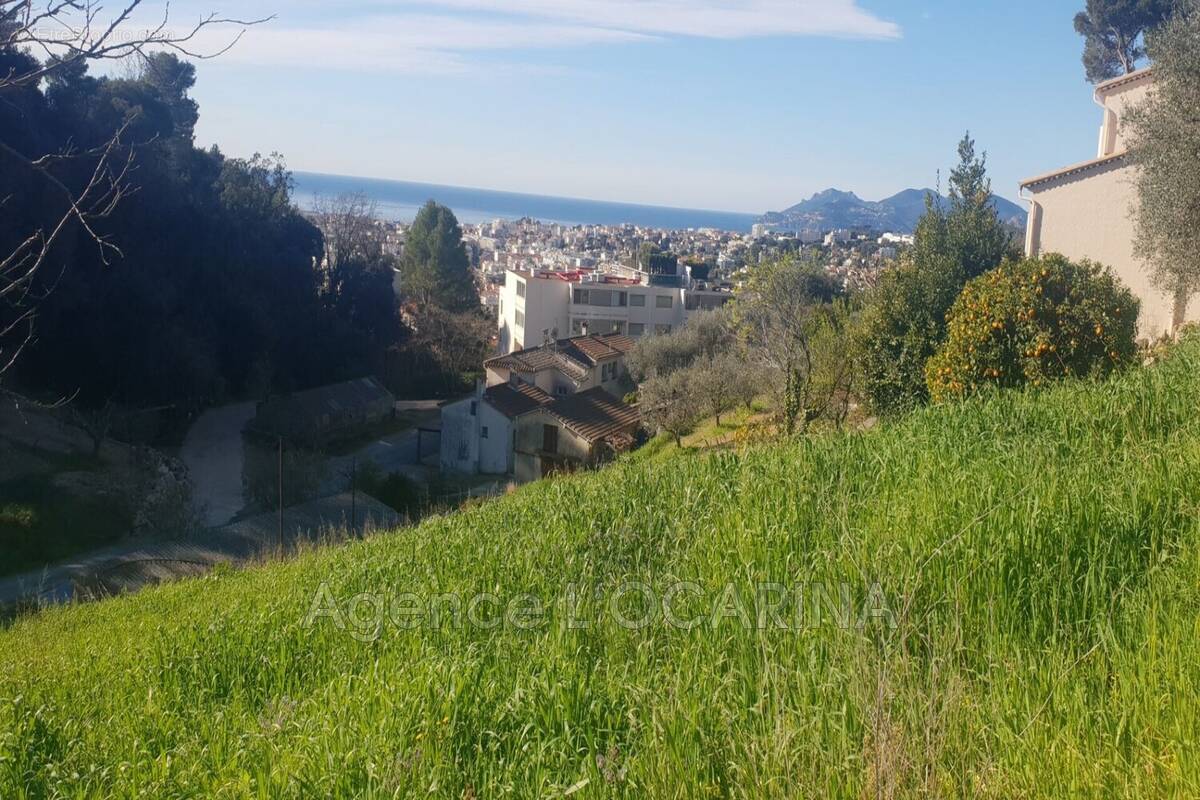 Terrain à LE CANNET