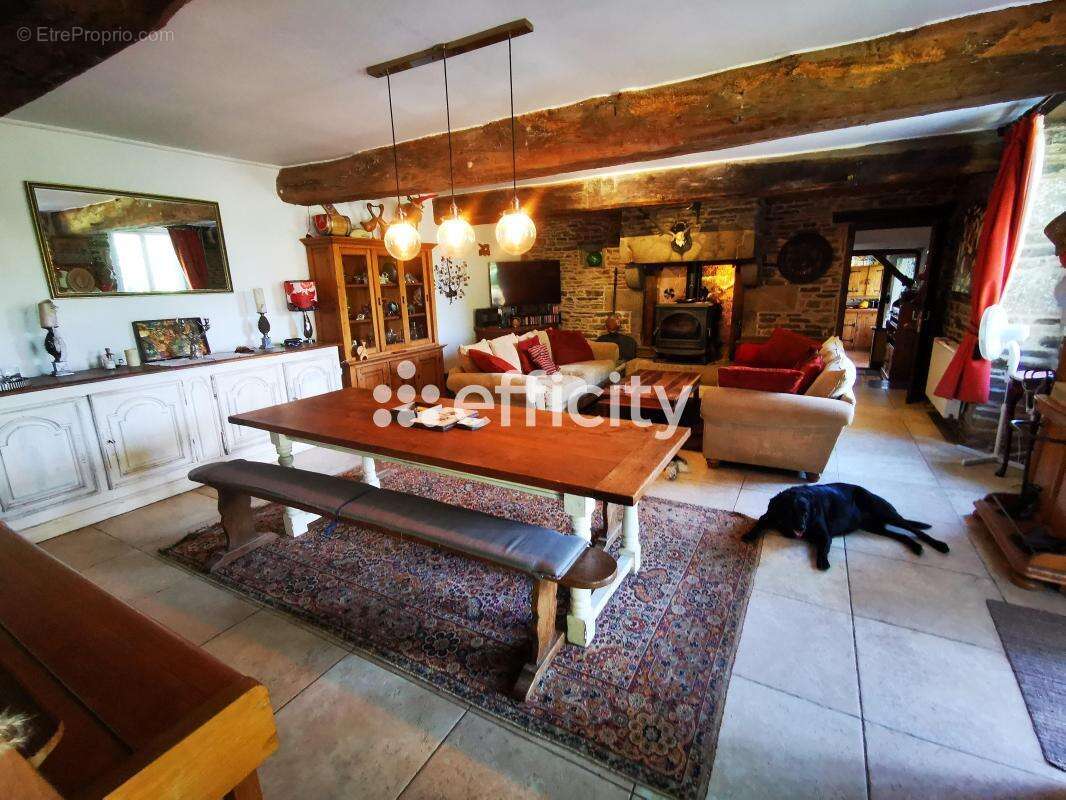 Maison 210 m² à Beauficel  - photo 19