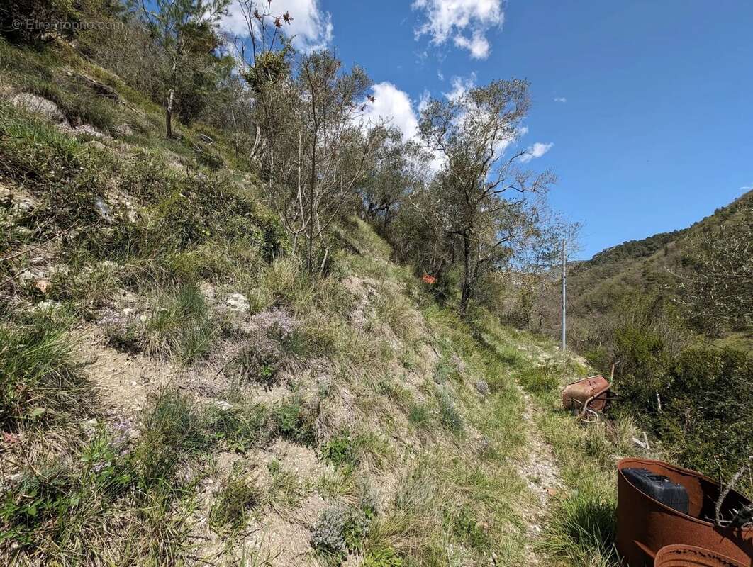 Touet-de-l'escarène : terrain inconstructible - photo 4