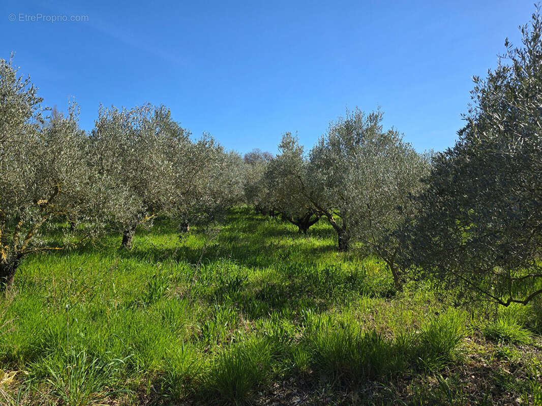 Terrain à ARGELES-SUR-MER