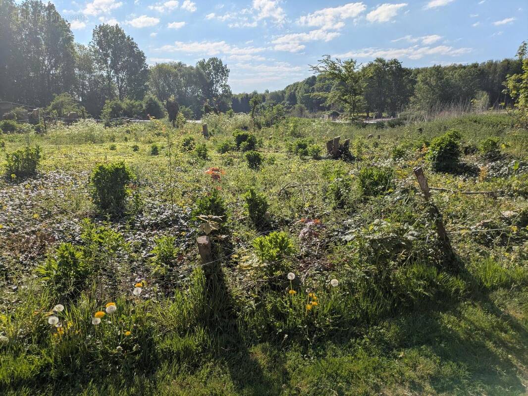 Photo 1 - Terrain à WANQUETIN