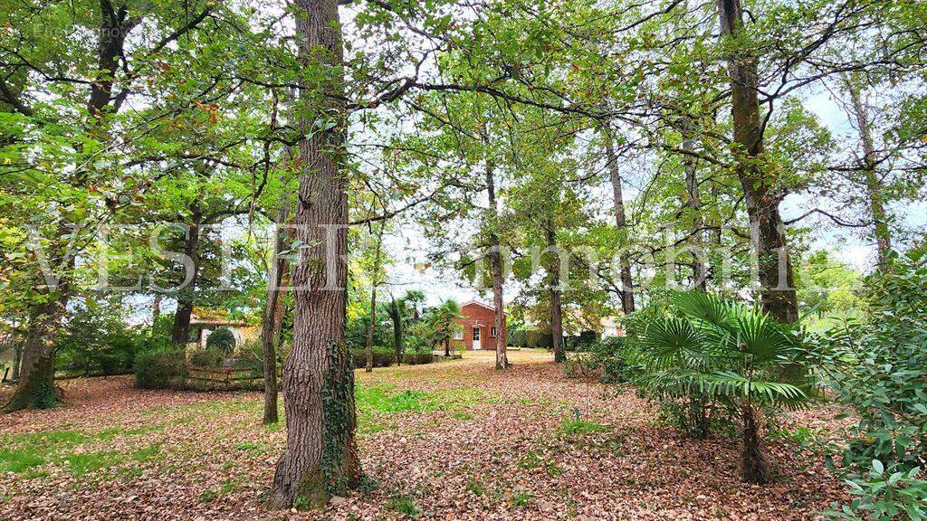 Maison à ECHOURGNAC
