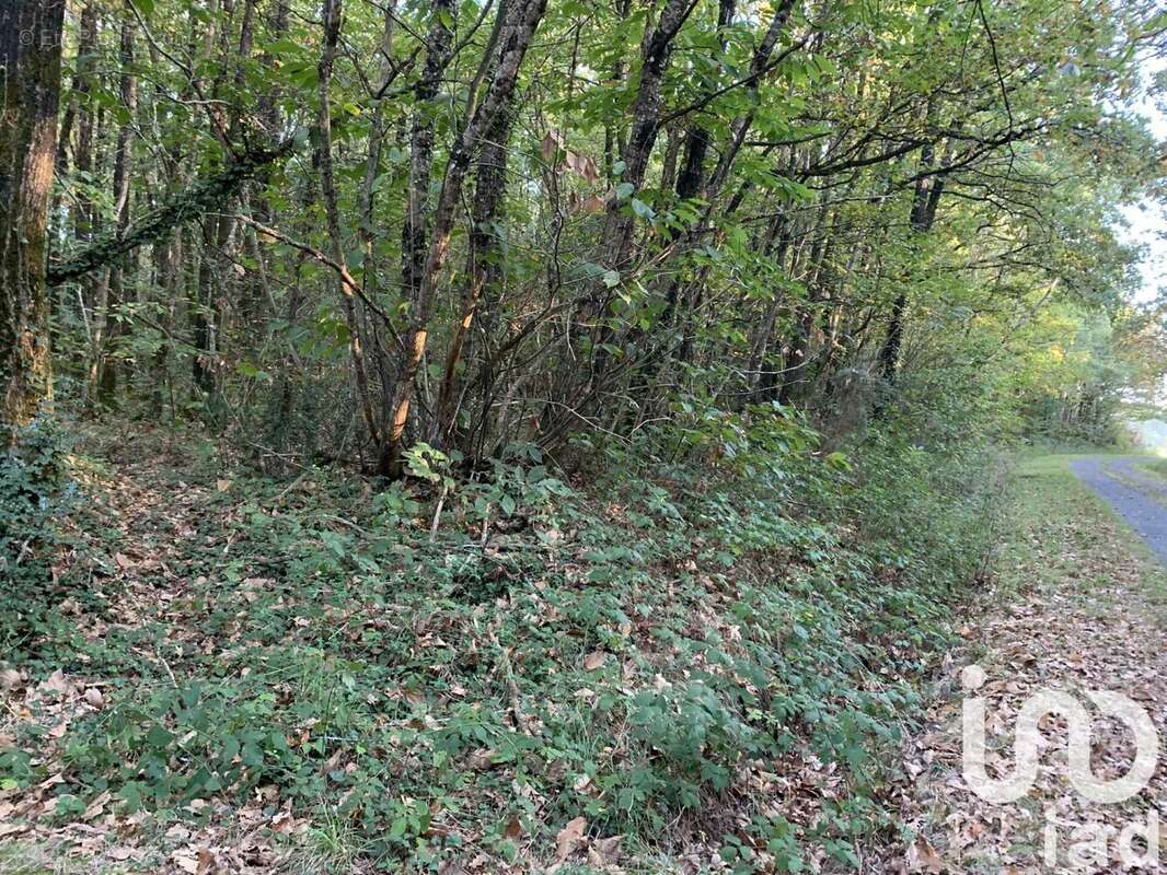 Photo 3 - Terrain à LES LUCS-SUR-BOULOGNE