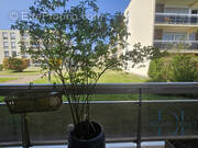 Appartement à VERNON