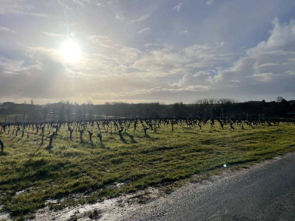 Terrain à BLAYE