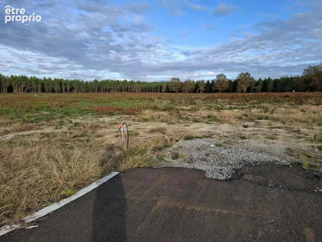 Terrain à LALUQUE