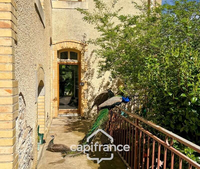 Maison à ROHAN