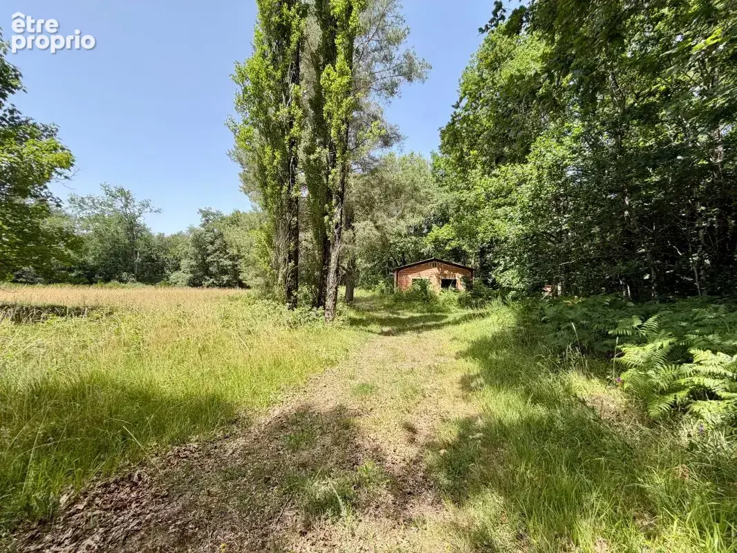 Périgourdine dans un cadre agréable - photo 22