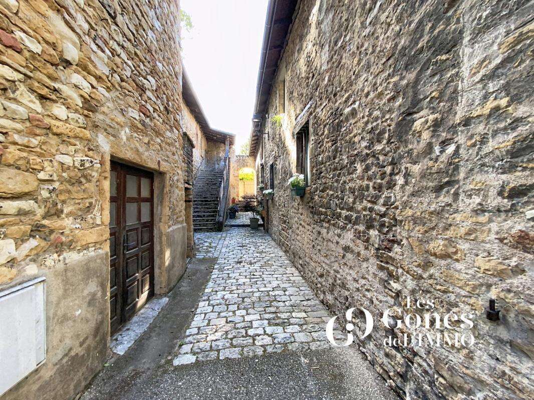 Maison 250m2 / Terrain 200m2- Saint-Romain-au-Mont-d'Or - photo 12