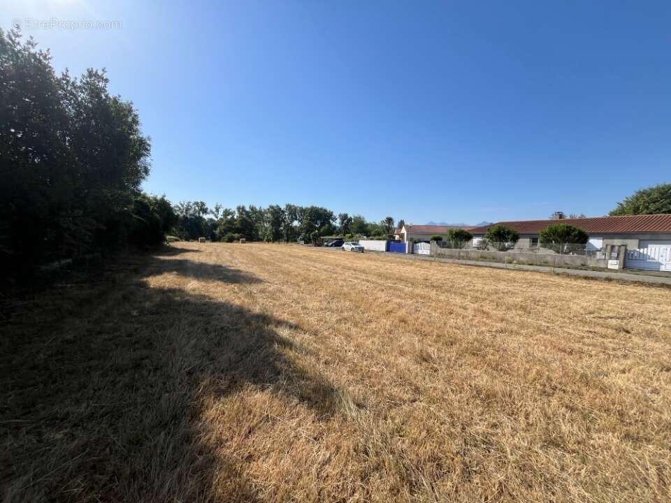 Terrain 600 m² à Juillan  - photo 3