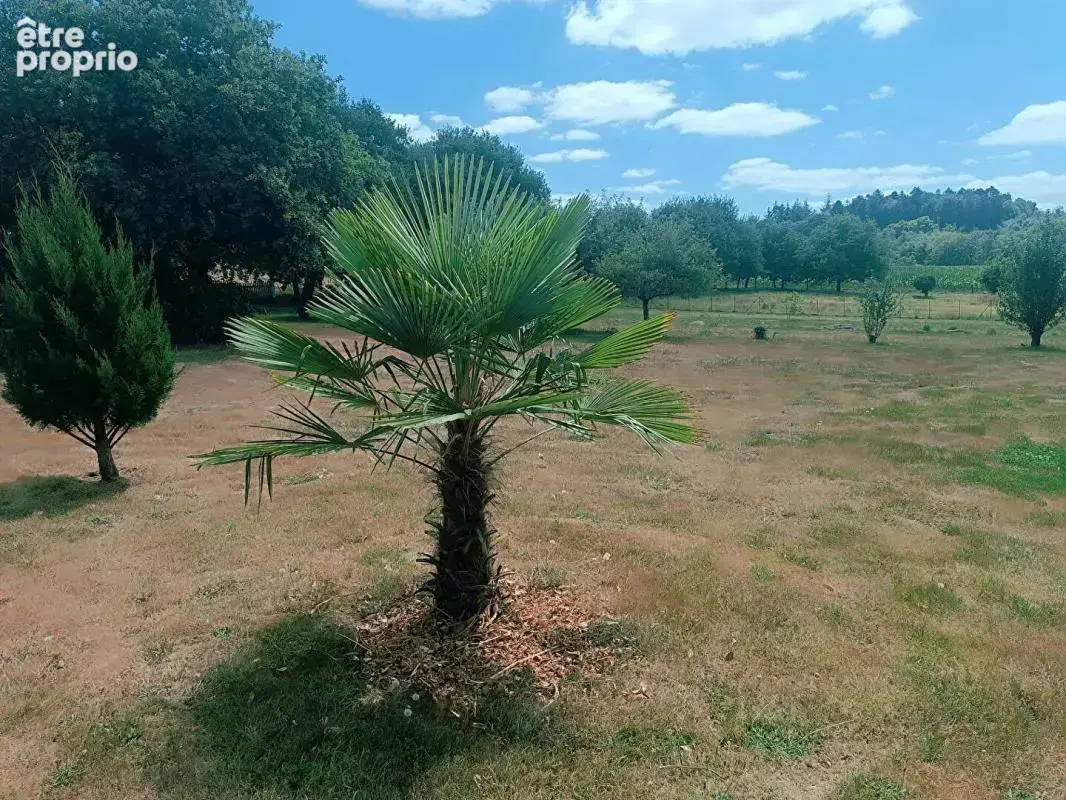 Maison en pierre à personnaliser, 6 500 m² pour vos projets - photo 14