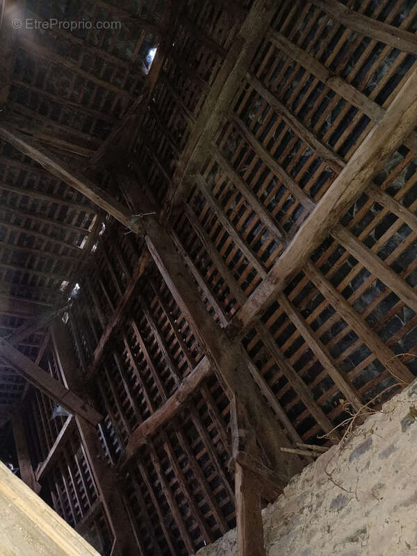 Maison à FEREL