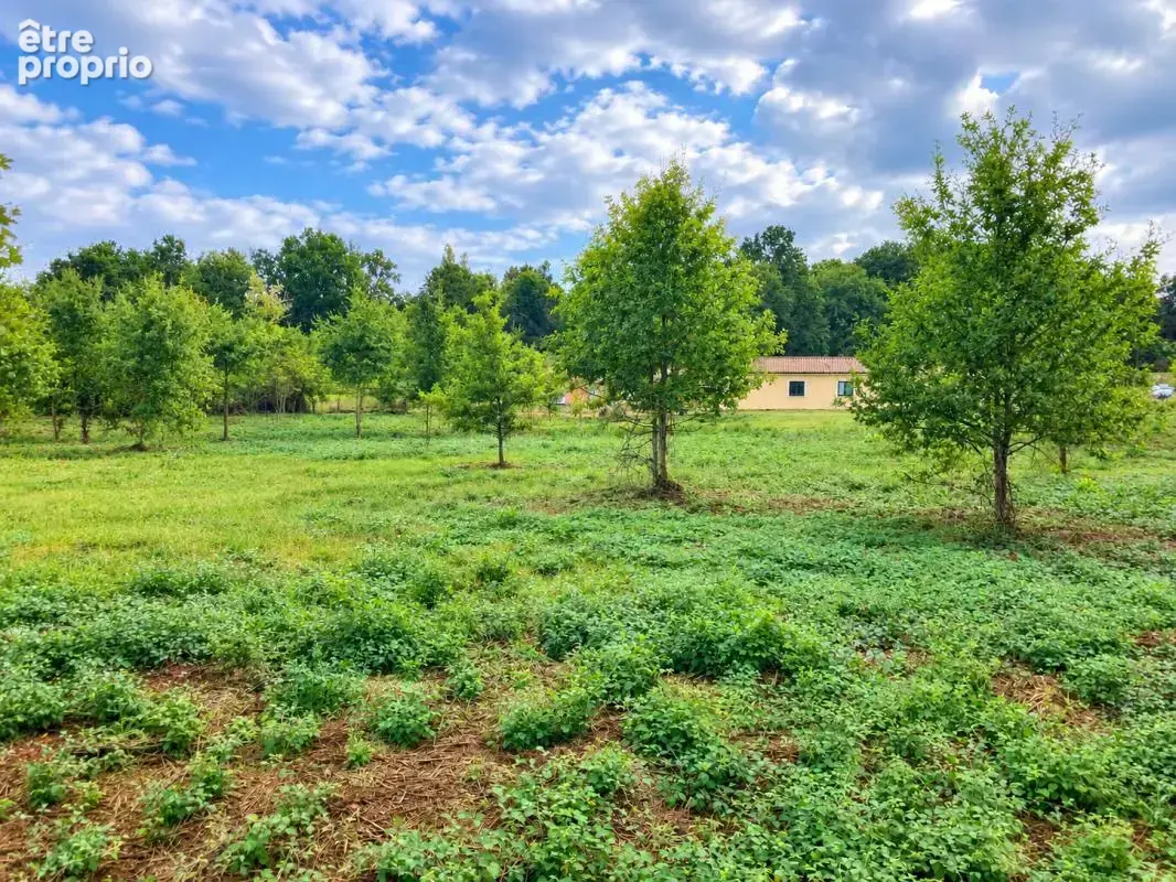Terrain à vendre à Larzac de 5771 m2 - photo 2