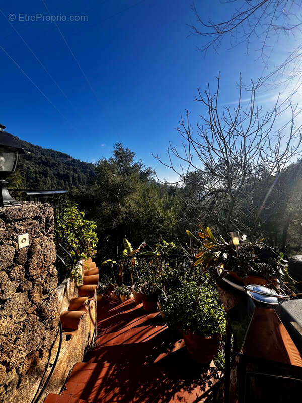 Maison à MENTON