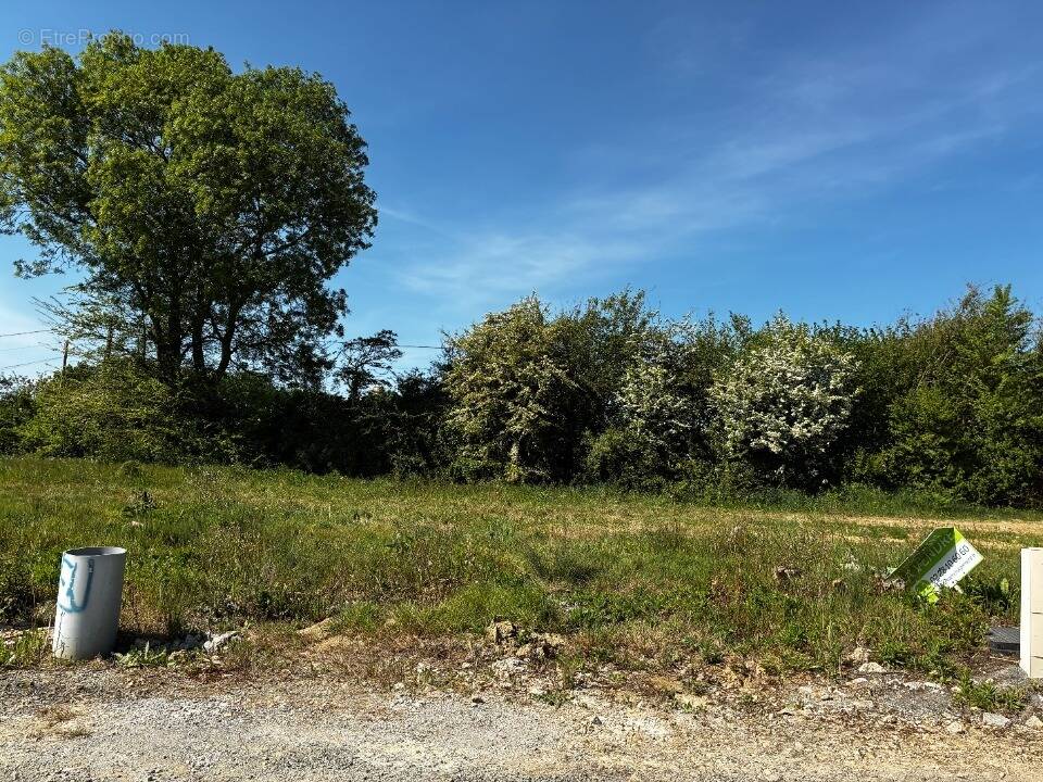 Terrain à APREMONT
