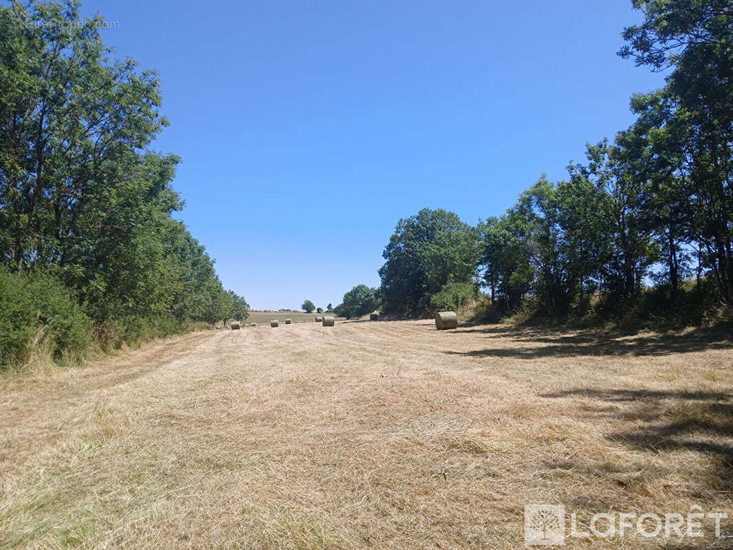 corps de ferme - photo 16