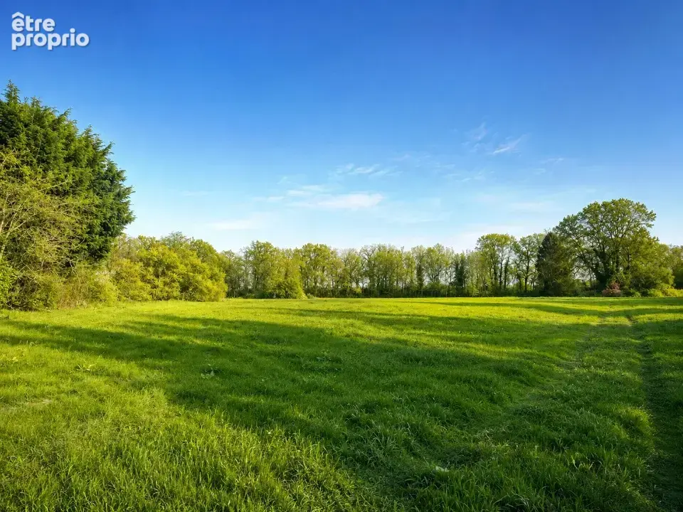 Photo Terrain à Angiens au prix de 68 000€