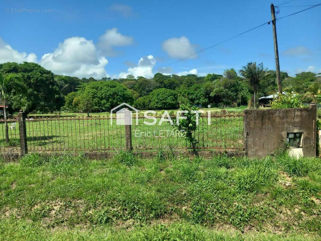 Photo 2 - Terrain à MACOURIA