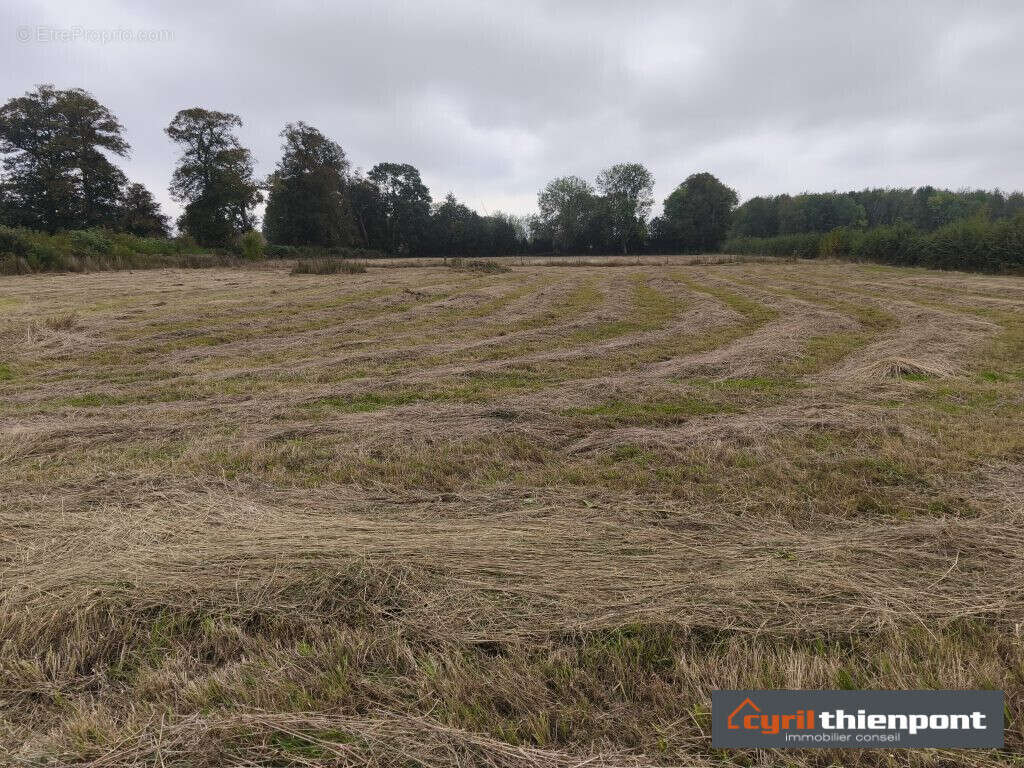 Terrain à SAINT-MAXENT