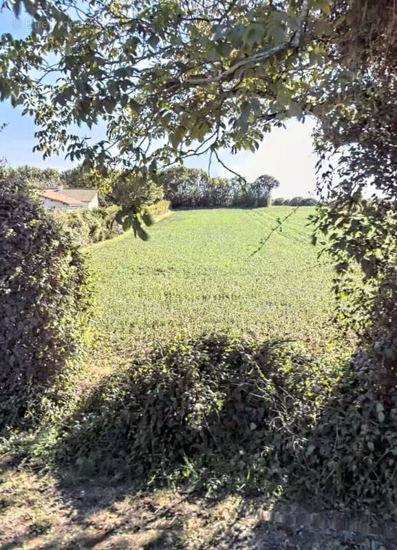 Terrain à CHIZE