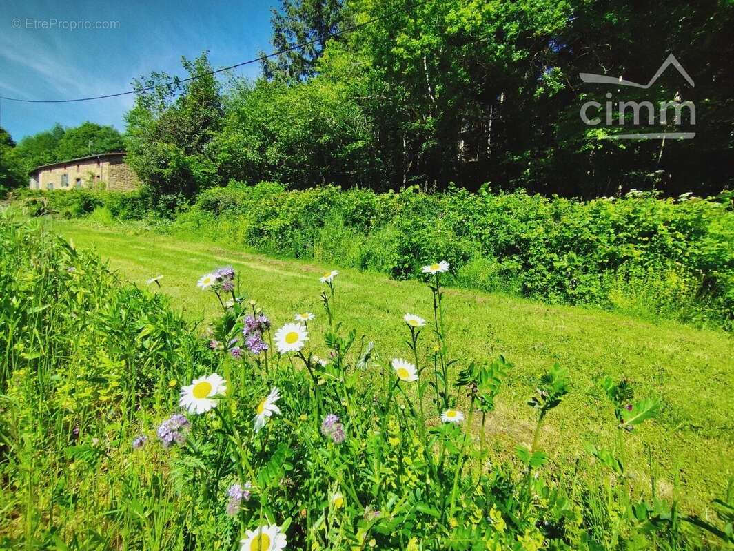 Authentique propriété de caractère avec gîte et 1,2 hectare de terrain à Cunlhat - photo 18