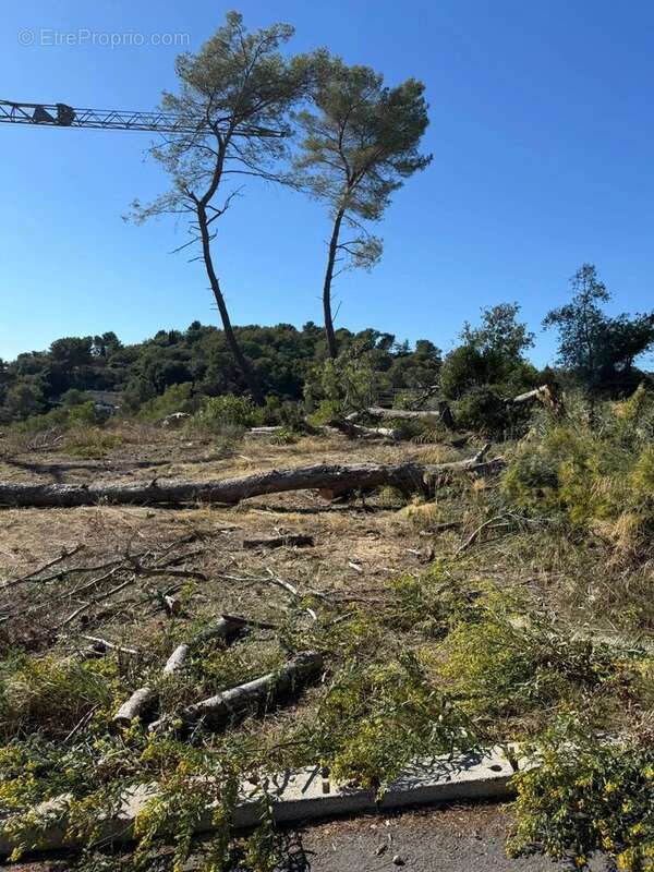 Terrain avec Permis accordé - photo 7