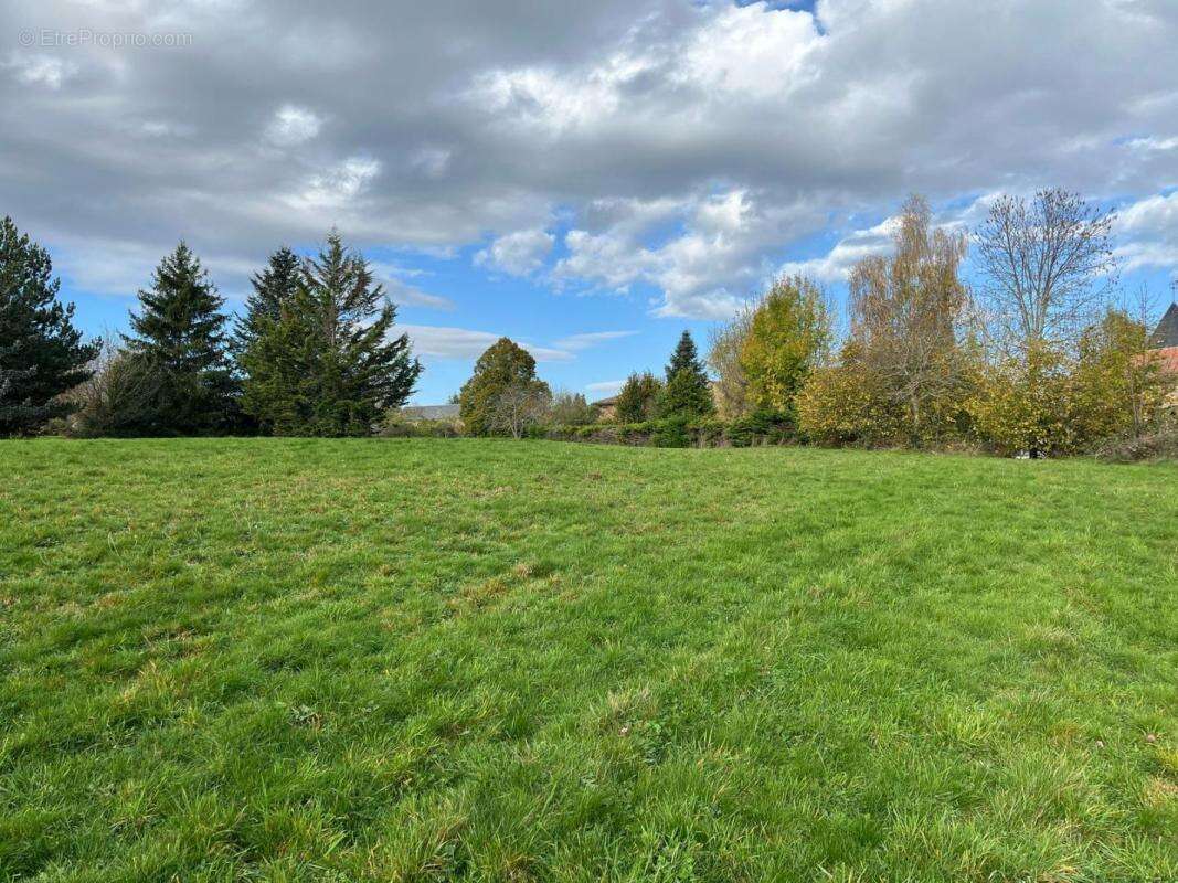Terrain à SAINT-MARY-LE-PLAIN