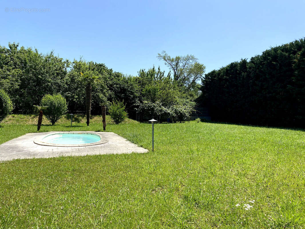 Photo 7 - Commerce à LONS