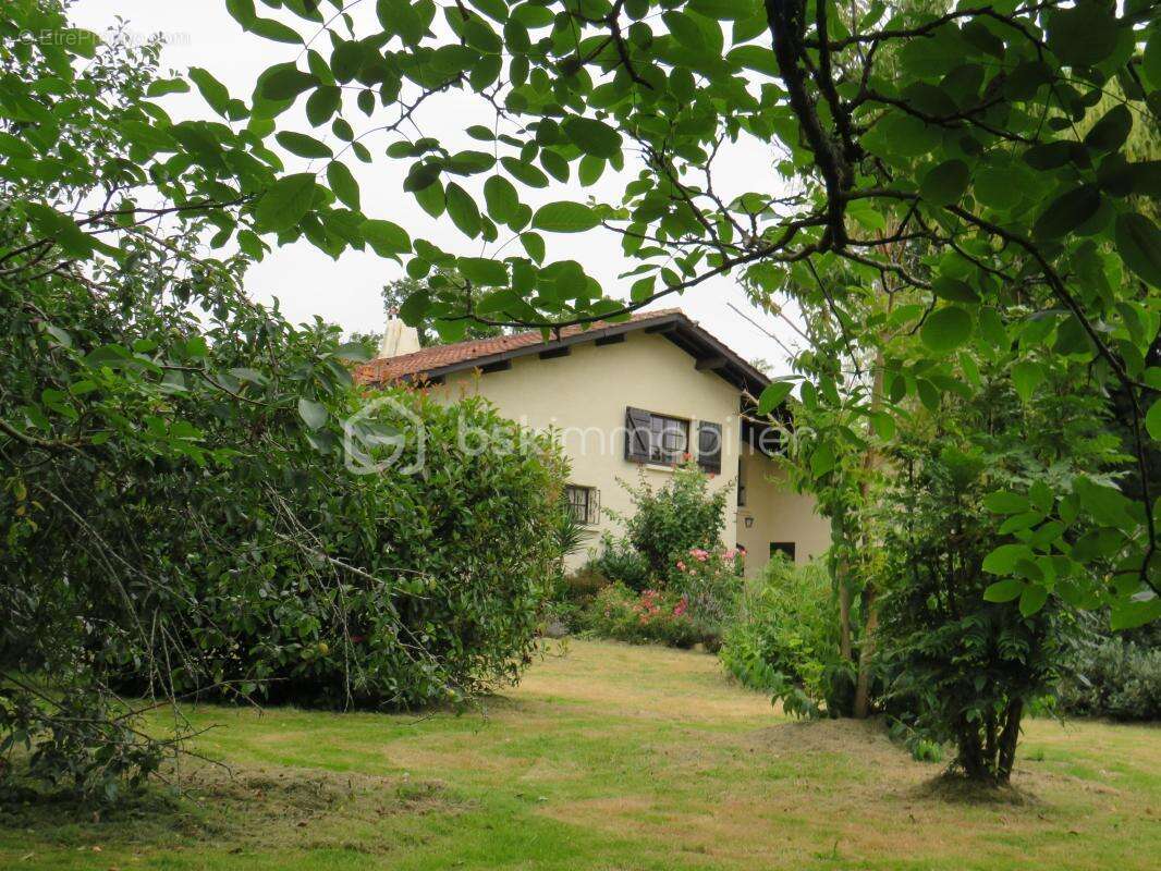 Maison à AIRE-SUR-L&#039;ADOUR