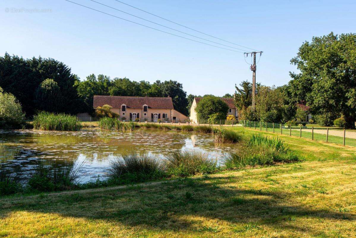 Propriété  à Vendre sur 36ha - photo 2
