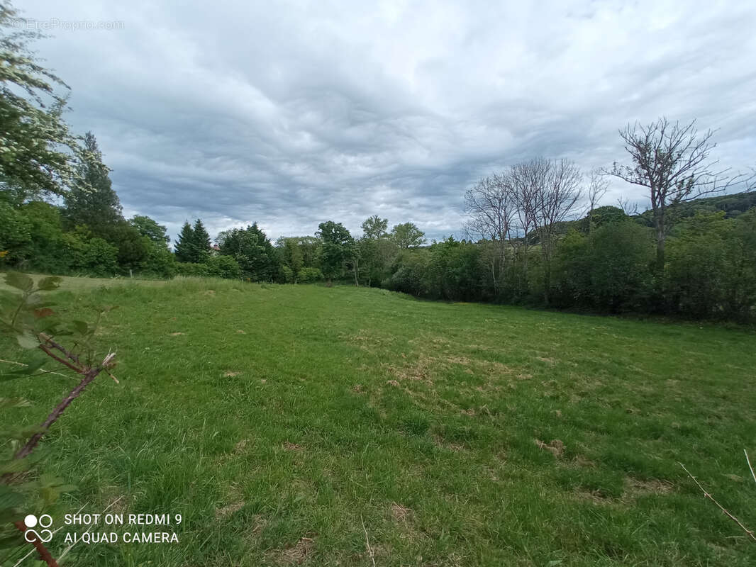 Terrain à BROMONT-LAMOTHE