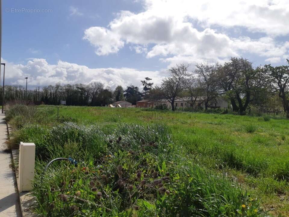 Terrain à DIEUPENTALE