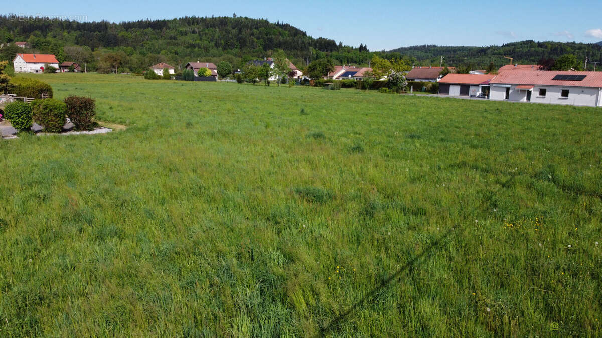 Terrain constructible Anould 2058 m2 - photo 5