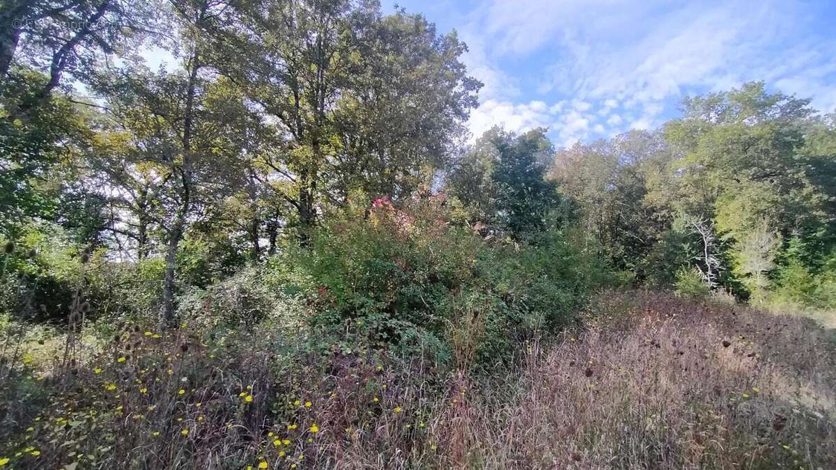 Photo 4 - Terrain à CAILLAC