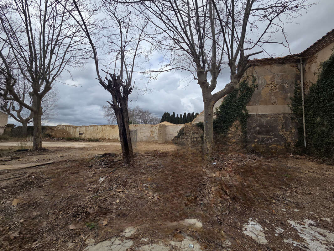 A vendre - puisserguier - terrain constructible et viabilise de 768 m2 - photo 3