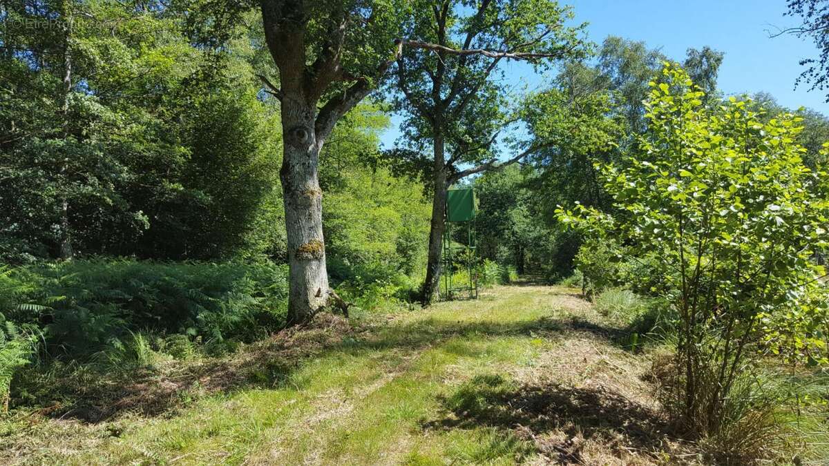 Terrain à CLEMONT