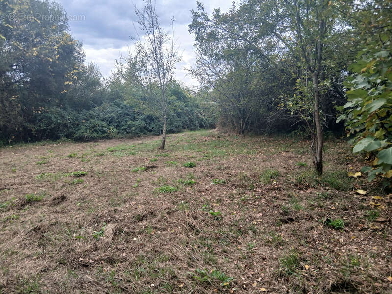 Terrain à CREON