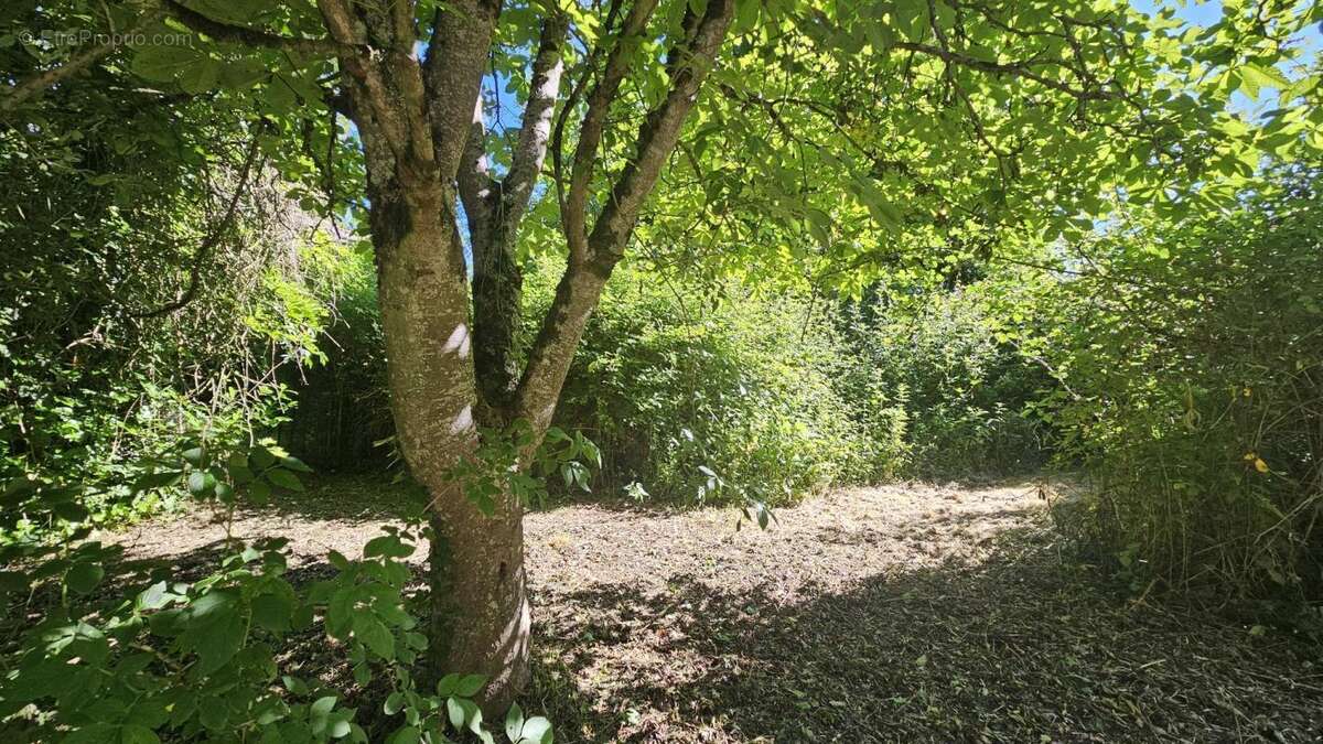 Maison 91 m² à Villeneuve-De-Riviere  - photo 7