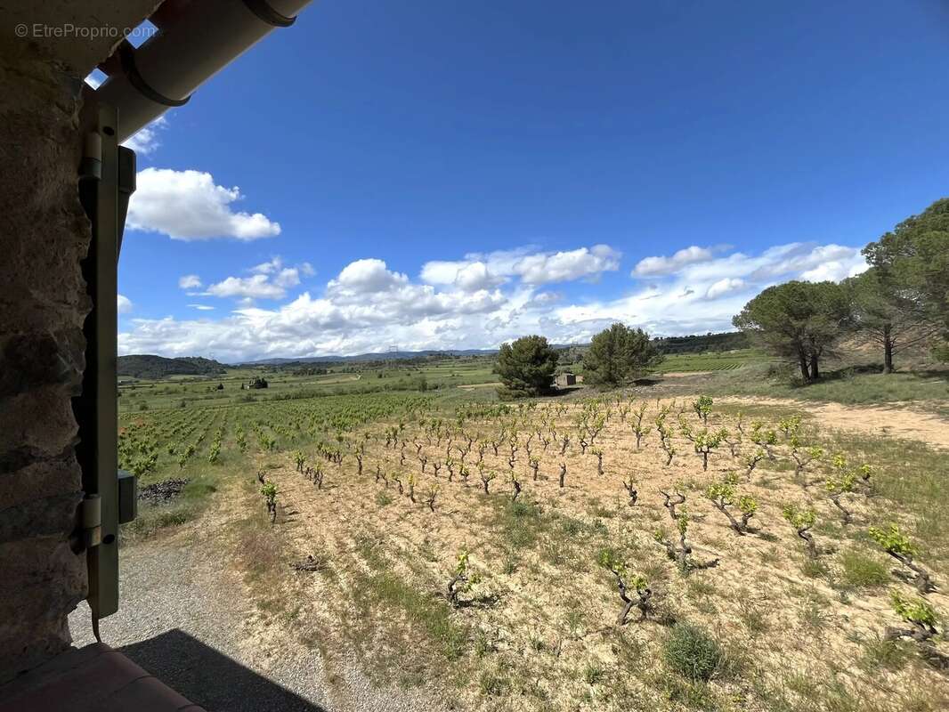 Maison à RIEUX-MINERVOIS