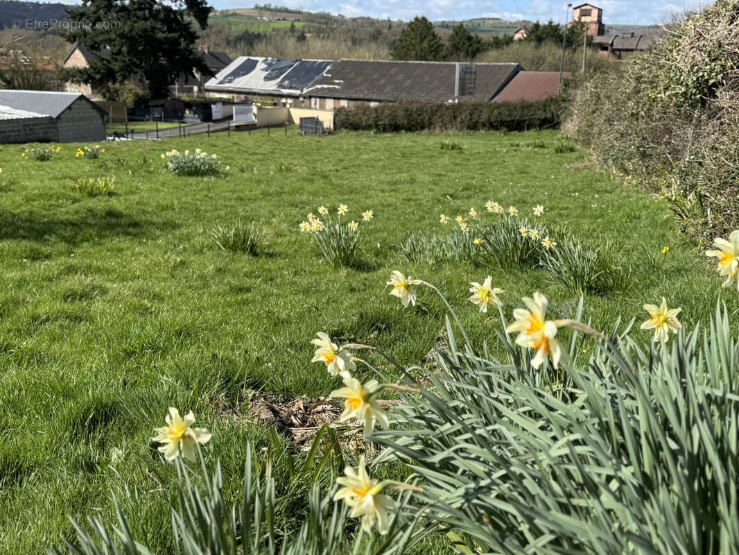 Terrain à SAINT-REMY