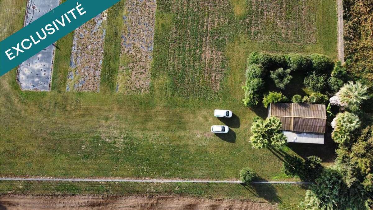 Photo 4 - Commerce à VILLELONGUE-DE-LA-SALANQUE