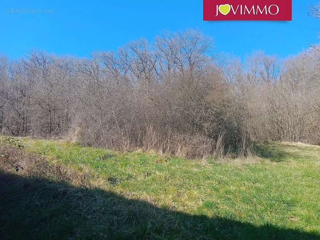 Maison à BELLENAVES