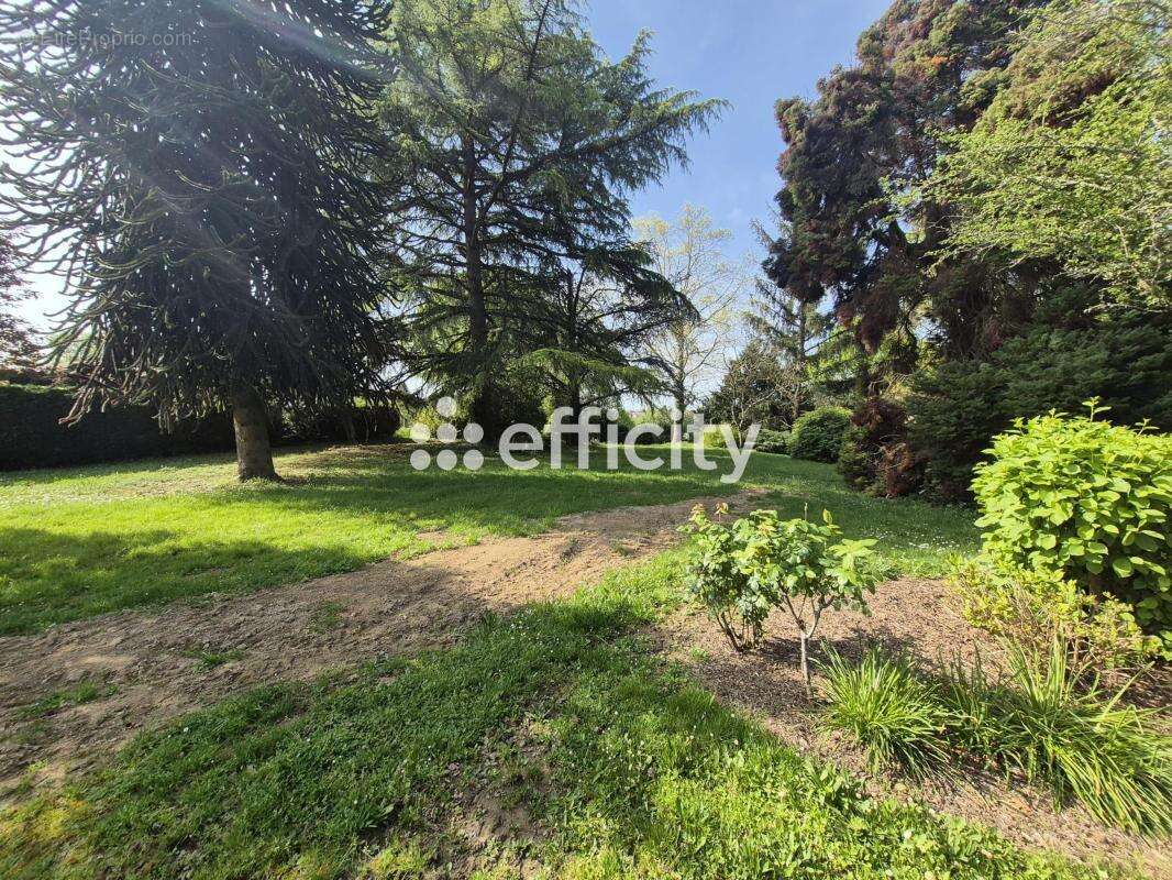 Maison à SAINT-JUNIEN